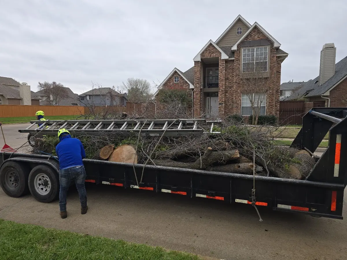 Expert Lot Clearing with proper safety equipment in Independence